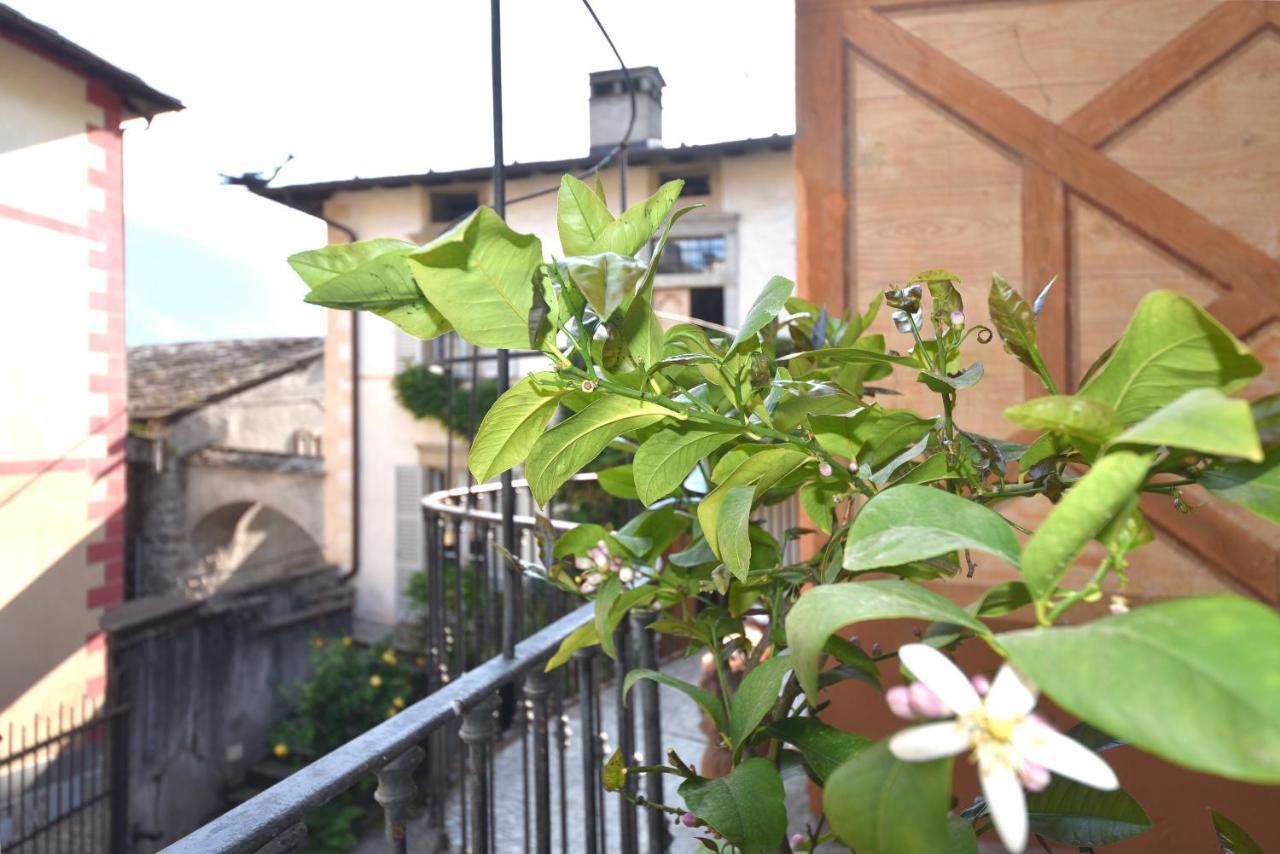 Il Drago Al Roseto Del Drago Villa San Bernardo  Ngoại thất bức ảnh