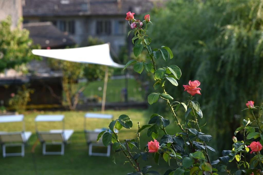 Il Drago Al Roseto Del Drago Villa San Bernardo  Ngoại thất bức ảnh